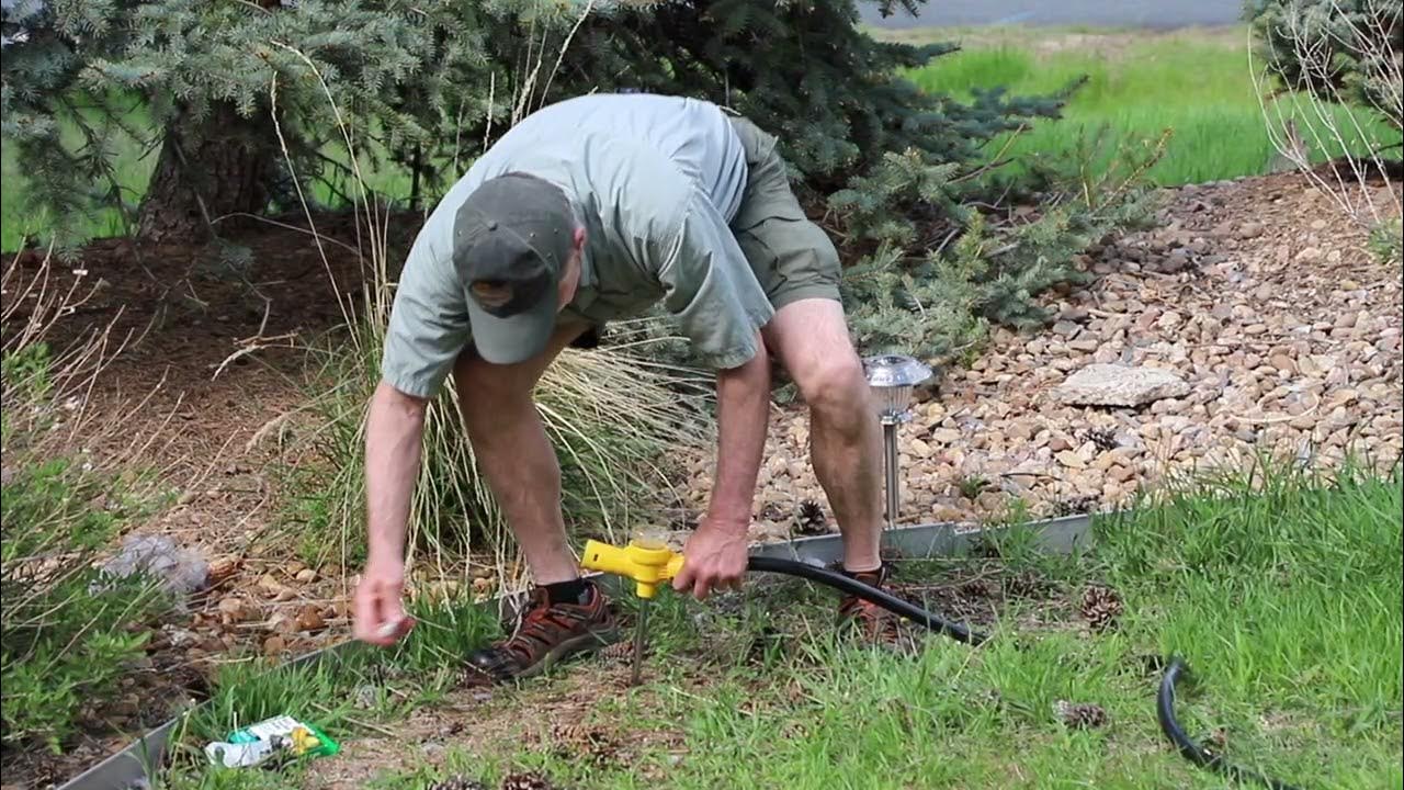 How to Properly Use a Ross Root Feeder by Consulting Arborist, Jim