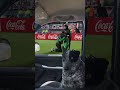 EL POBRE PERRO SE SIENTE INCÓMODO CON TANTA EMOCIÓN 🐶😅CONMEBOL #SUDAMERICANA #LAGRANCONQUISTA