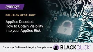 Celebrity AppSec Decoded: How to obtain visibility into your AppSec risk | Black Duck Wealth