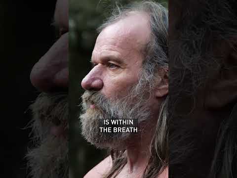 The breath goes everywhere, and it will lead you where you need to go.