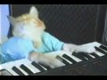 Play Dai Gurren Off, Keyboard Cat (Gurren Lagann SPOILER ALERT)