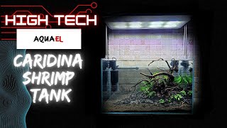 High Tech Caridina Shrimp Tank