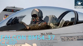 Falcon Bms 4.37 Ccrp