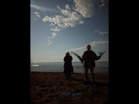 Mush One - ხეივანში უფრო მეტი ხეა