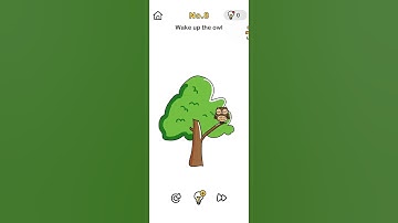 Brain Out Puzzle No.8 || Wake up the owl.