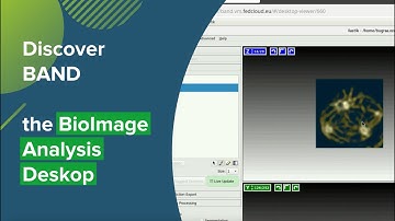 A Virtual Desktop for BioImage Analysis in the Cloud