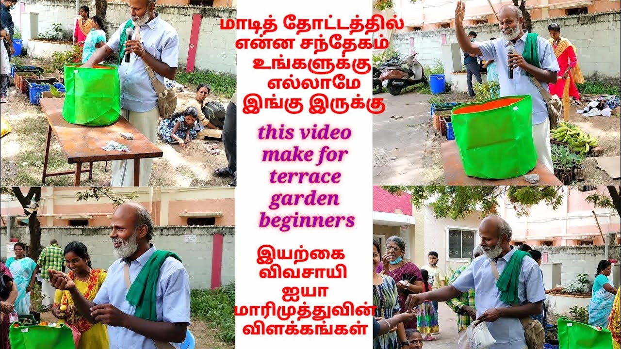 மாடி தோட்டத்தில் என்ன சந்தேகம் புதியவர்கள் கண்டிப்பாக பார்க்க வேண்டும்