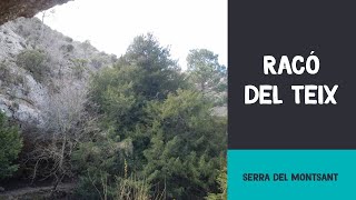 Racó del Teix | Serra del Montsant (Tarragona)