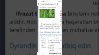 Biologiya 6 dərslik.Səh 41.Mövzu 13.Bitkinin ötürücü,əsas və ifrazat toxumaları._Aylin 505 Bayramlı_