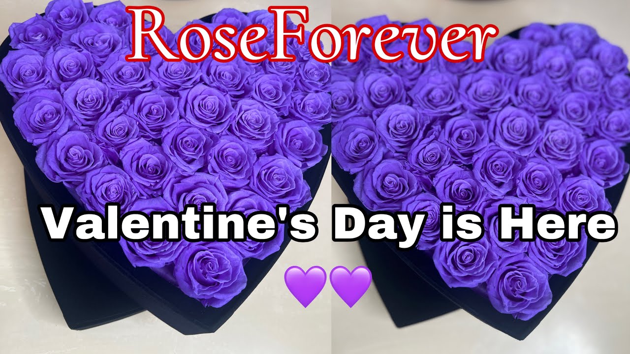 Rose Forever New York Perfect Valentine’s Day Gift 💜 Rose Box for