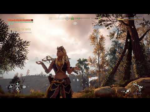 Aloy's Gorgeous Outfit