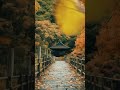 LoFi Chill Music🍂 #lofi #lofihiphop #chillmix #lofieveryday #relax
