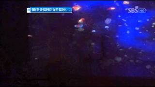SBS  출발모닝와이드_영화 속 상상이 현실이 되다_20111025