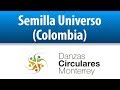 Semilla Universo COLOMBIA