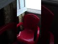 أقدم فنادق اسكندرية أقدم فنادق اسكندرية