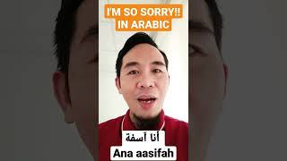 I Am So Sorry In Learn Basic Arabic With Camar Ed Tv