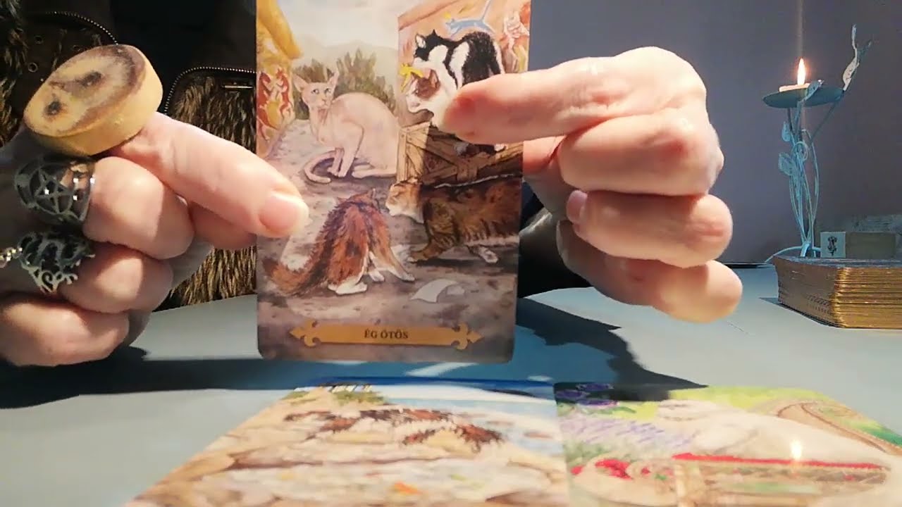 🌹Szerelembombázás után a leértékelés? Engedd ki a tüskéidet!🌹