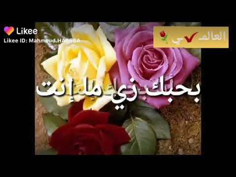 انا بحبك انت بحبك زي ماانت