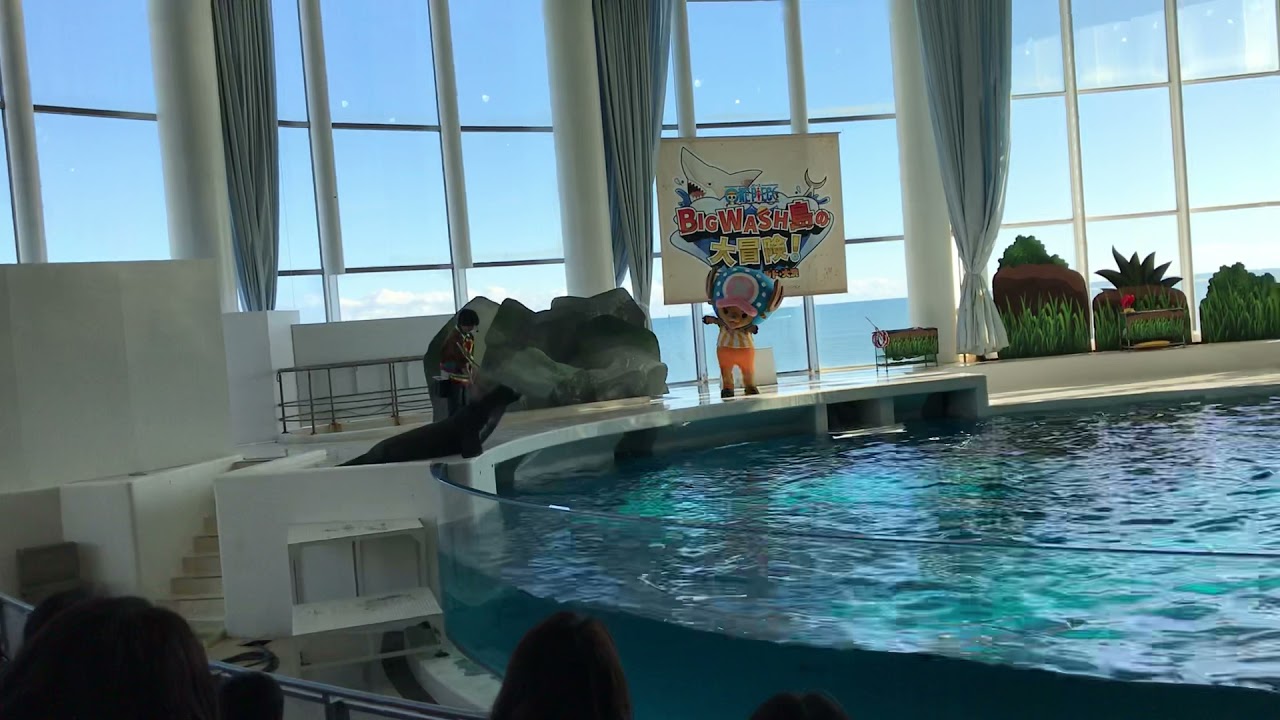 アクアワールド　ワンピースショー