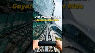 고양을 롤러코스터로 관광하기