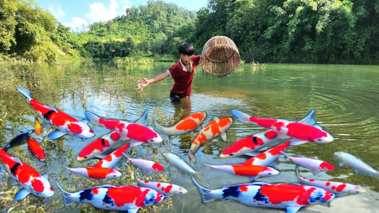 The lake water rose. Boy Lam used a bamboo basket to catch a lot of ...