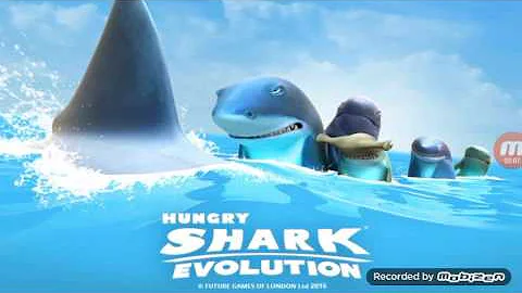 Cheats on hungry shark