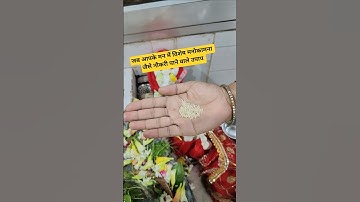 नौकरी पाने के लिए चावल के दाने का विशेष उपाय #pradeepmishra #shortvideo #shiv #shorts #shivmahapuran