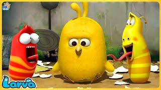 LARVA CHICKEN, RED AND YELLOW | FUNNY CLIP 20245  60min | Cartoon Comedy video by SMTOON ASIA