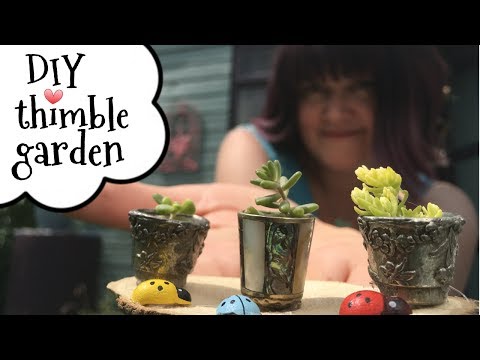 Video: Ý tưởng về Vườn Cổ tích Teacup - Mẹo Trồng Cây trong Vườn Teacup