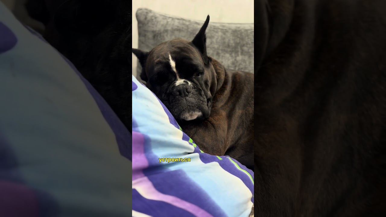 По хорошему 