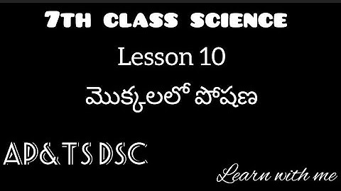 7th class science|| Lesson 10|| మొక్కలలో పోషణ|| AP& TS DSC 2023