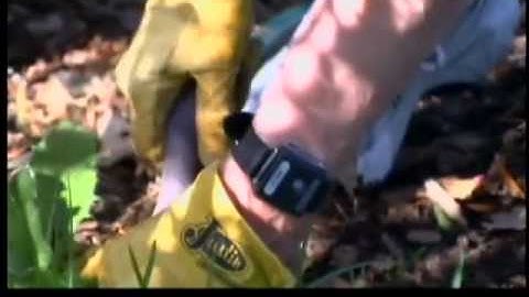 Exercise can help prevent Alzheimer