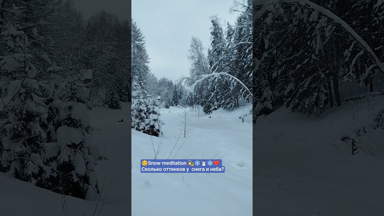 #my #dream #snow #meditation #new #nature #views #shortvideo #shorts #wow #love #live #like #enjoy