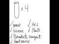 Yeast Invertase Lab