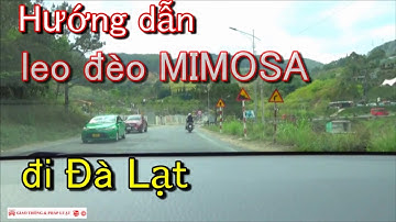 Leo đèo Mimosa đi Đà Lạt | Hướng dẫn lái xe | Học lái xe không khó | Giao thông và Pháp luật #77