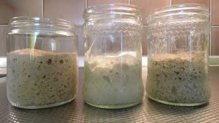 Рецепт пшеничной закваски. Desem/zuurdesem/natuurdesem. Рецепт пшеничной закваски. Desem/zuurdesem/natuurdesem.