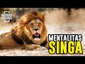 Mentalitas Singa || Video Motivasi Hidup || Inspirasi Motivasi