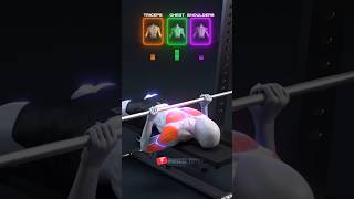 💪 How Grip Width Changes Chest, Shoulder & Triceps Activation | MuscleTutor🔥#fyp #fypシ゚viral#edit#yt