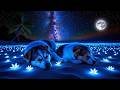 Deep Sleep Journey (No Ads) • Clear Subconscious Negativity • End Insomnia for Good