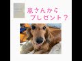 嵐からサプライズプレゼントが!届きました。