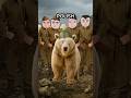 The Bear That Fought in WW2...