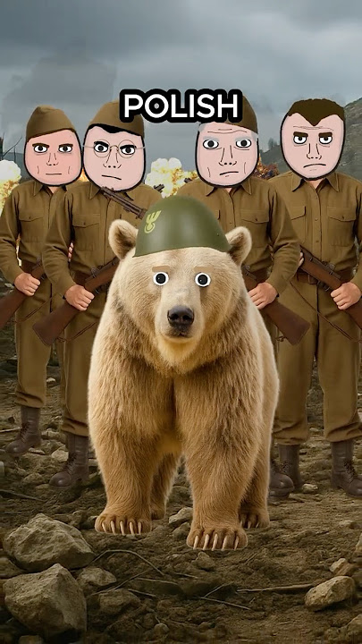 The Bear That Fought in WW2...