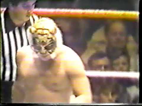 WWF on PRISM (Philadelphia Spectrum) 11-25-1982 - YouTube