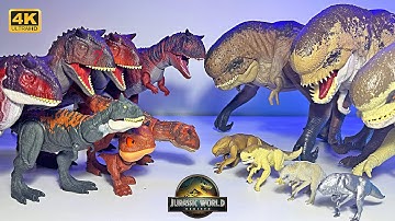 NEW Distortus Rex vs Carnotaurus Collection - Jurassic World Rebirth vs Survival Toys