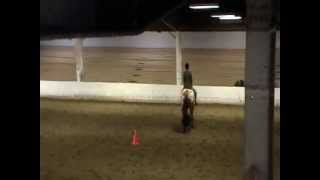 Too Good To Pass Huntseat Eq Pattern Net Worth