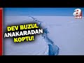 Antarktika’da dev bir buzul daha koptu! 380 kilometrekarelik buzul anakaradan koptu | A Haber