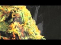 Happy 420 Official 2012 Weed Anthem Higher mp3