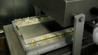 Double Chamber Vacuum Packaging Machine By MPBS Industries - contact@mpbs.com screenshot 2