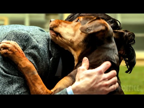 This dog finds