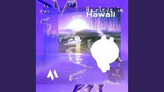 Harleys in Hawaii - Tazzy